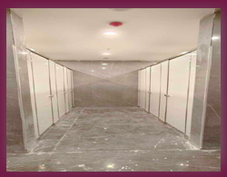 T Line Toilet Partition